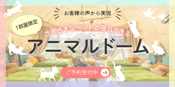 アニマルドーム予約受付
